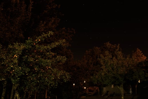 Night sky from Eastern yurt deck