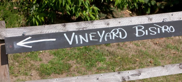 Visit the vineyard!