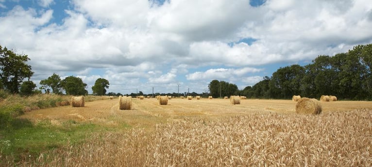 Lots of hay fields nearby