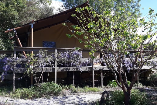 Safarizelt Woody25-Casa Cha 'Teehaus' in einem japanischen Garten