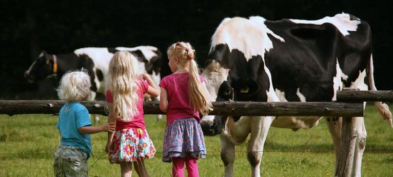 Kinder können etwas über das Leben auf dem Bauernhof lernen