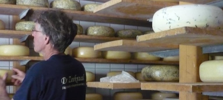 Kommen Sie und sehen Sie, wie der Käse hergestellt wird