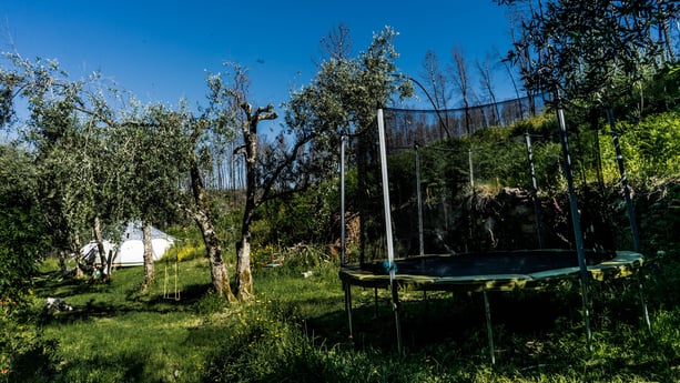 Glamping 267 Arrochela photo 15
