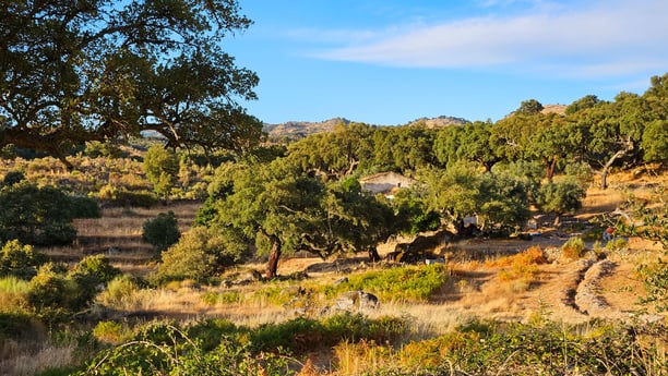 Glamping 342 Marvão photo 6