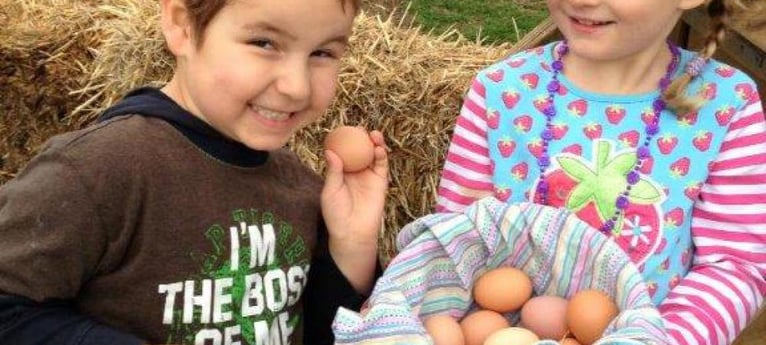 Happy faces after collecting the eggs!