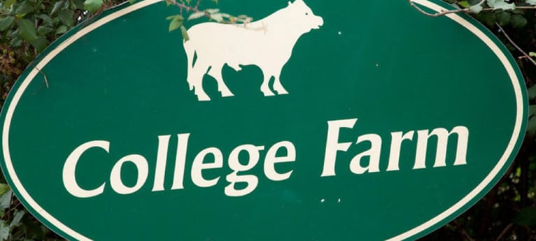 College Farm – ein bewirtschafteter Bauernhof