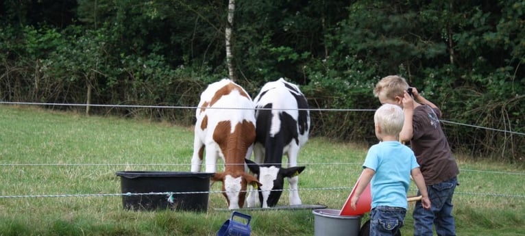 Niños aprendiendo sobre la vida en la granja.