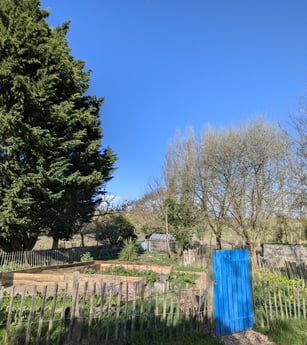 Discover our permaculture garden 🌱
A living space that evolves with the seasons.