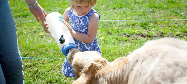 Kids will love getting involved on the farm