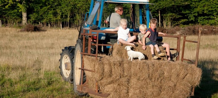 ¡Los niños pueden experimentar una granja en funcionamiento!