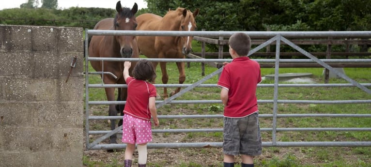 Kinderen kunnen kennismaken met alle boerderijdieren