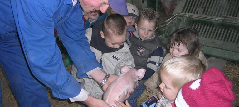 Come and meet the piglets when they are born!