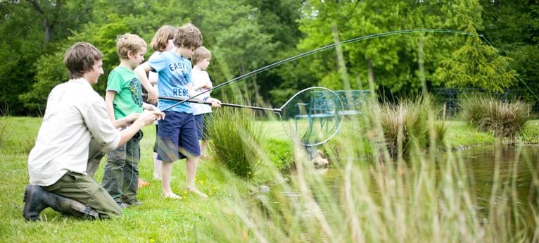 Lots of pond dipping for children