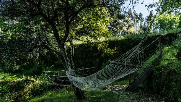 Glamping 267 Arrochela photo 14