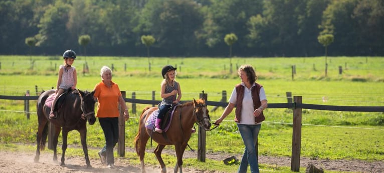 Lernen Sie Reiten