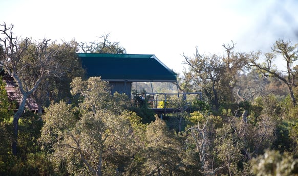 Glamping 205 Troviscais photo 11