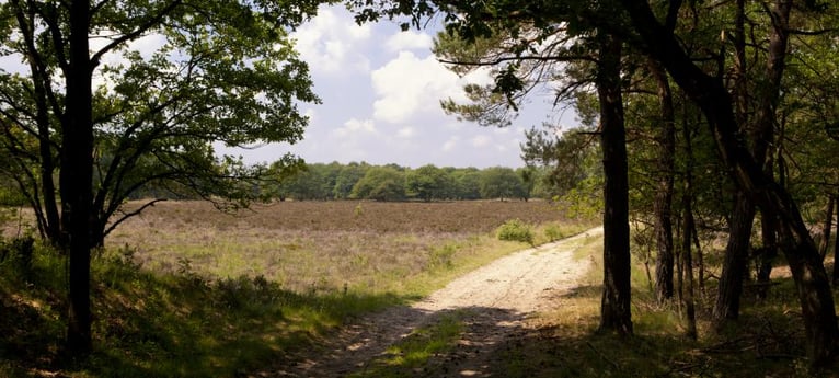 Lovely spaces for wondering around