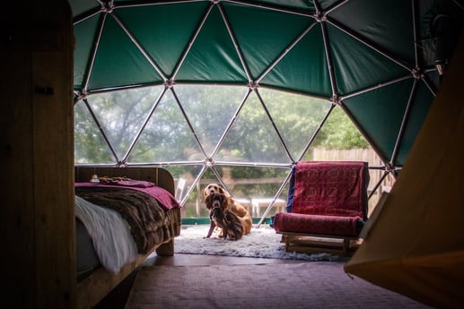 Glamping 194 Kington Foto 6