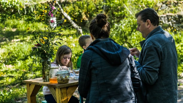 Glamping 267 Arrochela photo 17
