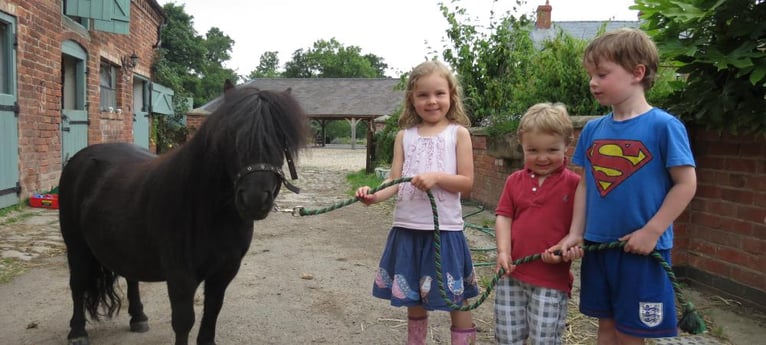 Kinderen zijn dol op de pony's!