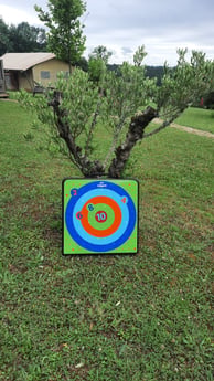 Archery game (suction cup)
