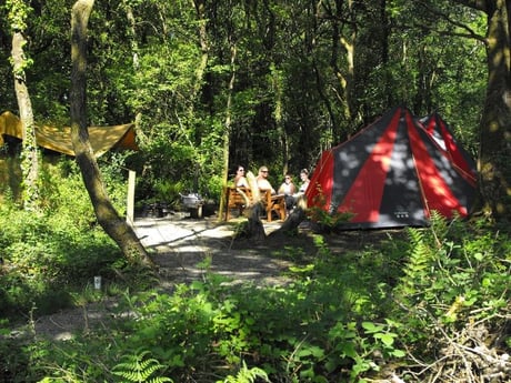 Pre-erected tent