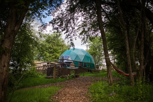 Dome in the woodland