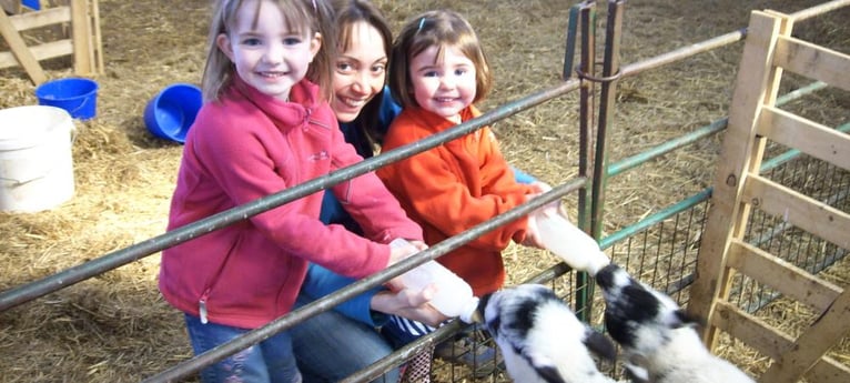 Kids will love feeding the goats