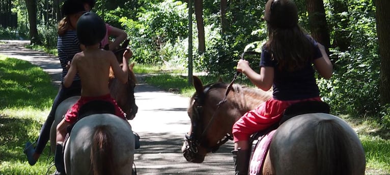 Viel Reiten