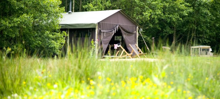 Perfect glamping tents