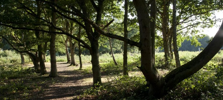 Need to stretch your legs? Perfect place for a ramble