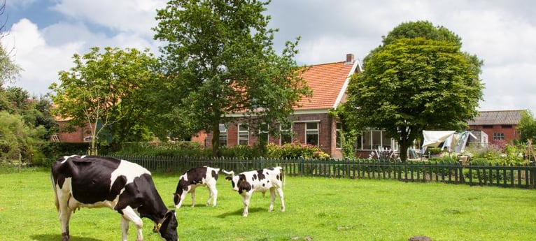 Das Bauernhaus