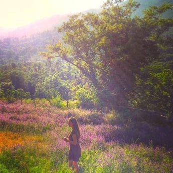 Glamping 254 Guarda photo 9