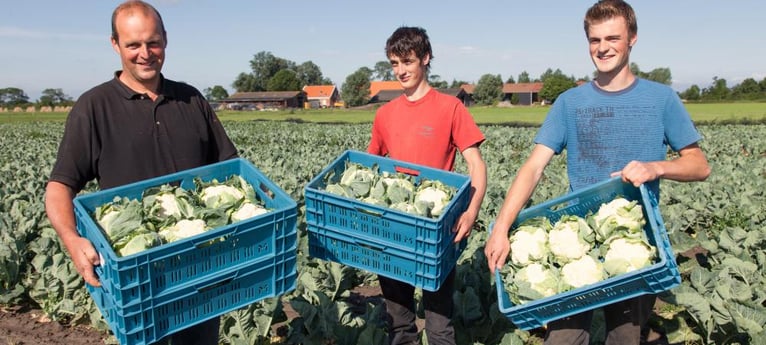 Helfen Sie mit bei den Hofaktivitäten!