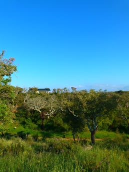 Glamping 205 Troviscais photo 12