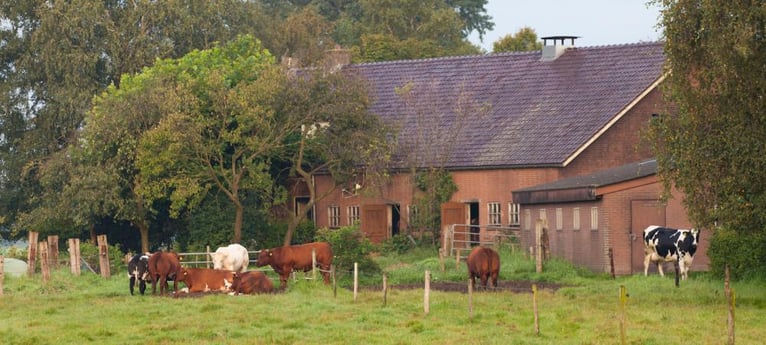 Das Bauernhaus