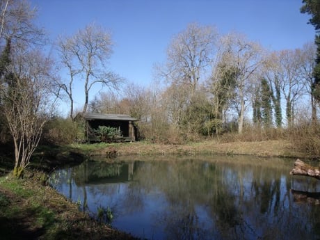 Cabane au bord de l'étang