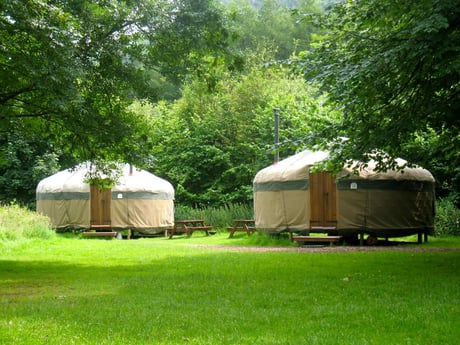 Long Valley Yurts