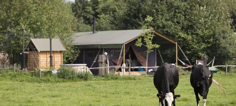 Perfect location for relaxing glamping