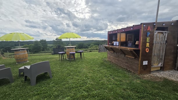 Bar / Terrace