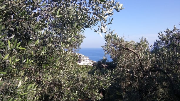 Glamping 193 Ulcinj photo 22