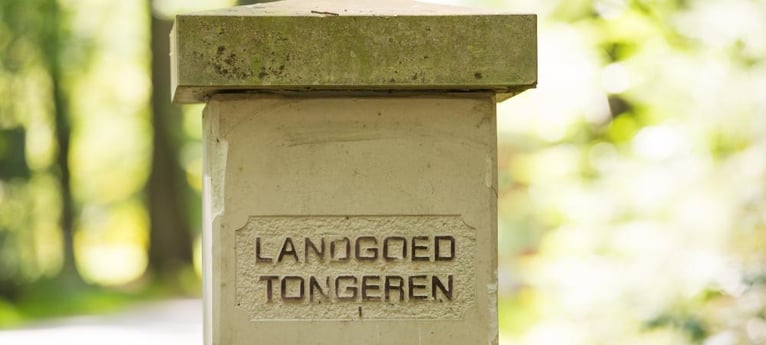 Ein bewirtschafteter niederländischer Bauernhof