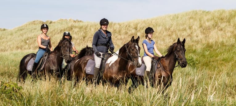 Viel Platz zum Reiten
