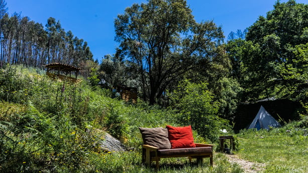 Glamping 267 Arrochela photo 7