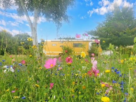 Wake up surrounded by flowers and nature 🌸
A peaceful setting where you can truly slow down and relax.