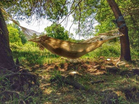 Glamping 254 Guarda photo 7