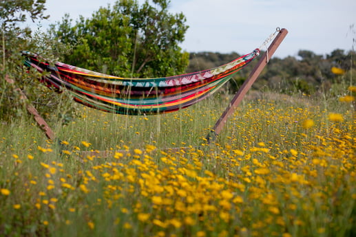 Glamping 205 Troviscais photo 10