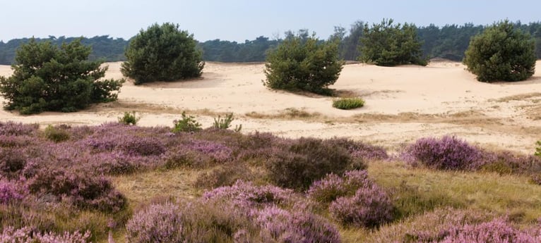 Spazieren Sie durch die wunderschöne Landschaft