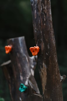 Glamping 338 Arakapas Foto 55