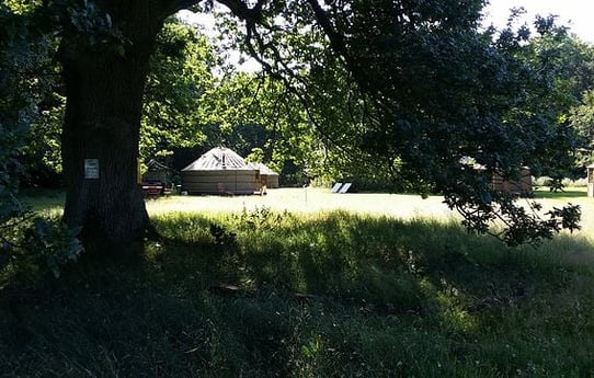 View on the forest location